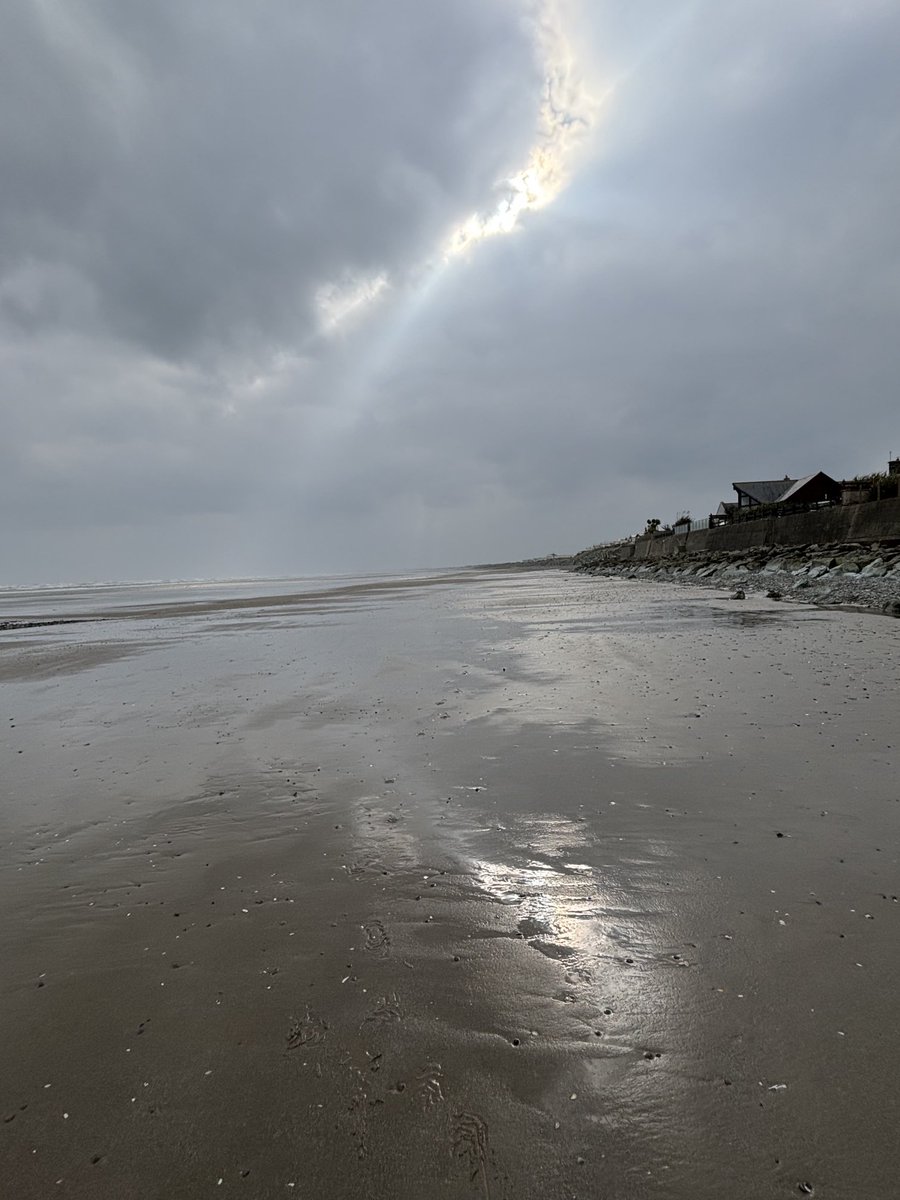A little bit of light bursting through on a very grey and chilly day! Termonfeckin, Co. Louth Day #66 of #100DaysOfWalking #InternationalWomensDay2024