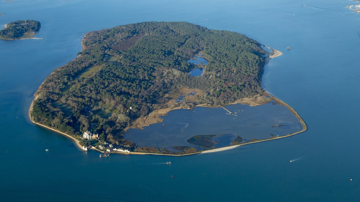 Brownsea Island re-opens a week today on Saturday 16 March. The red squirrels are very active at the moment, so come on over and enjoy the beauty and tranquility. nationaltrust.org.uk/visit/dorset/b… #BrownseaIsland #PooleHarbour #VisitDorset #WhereCanWeGoDorset