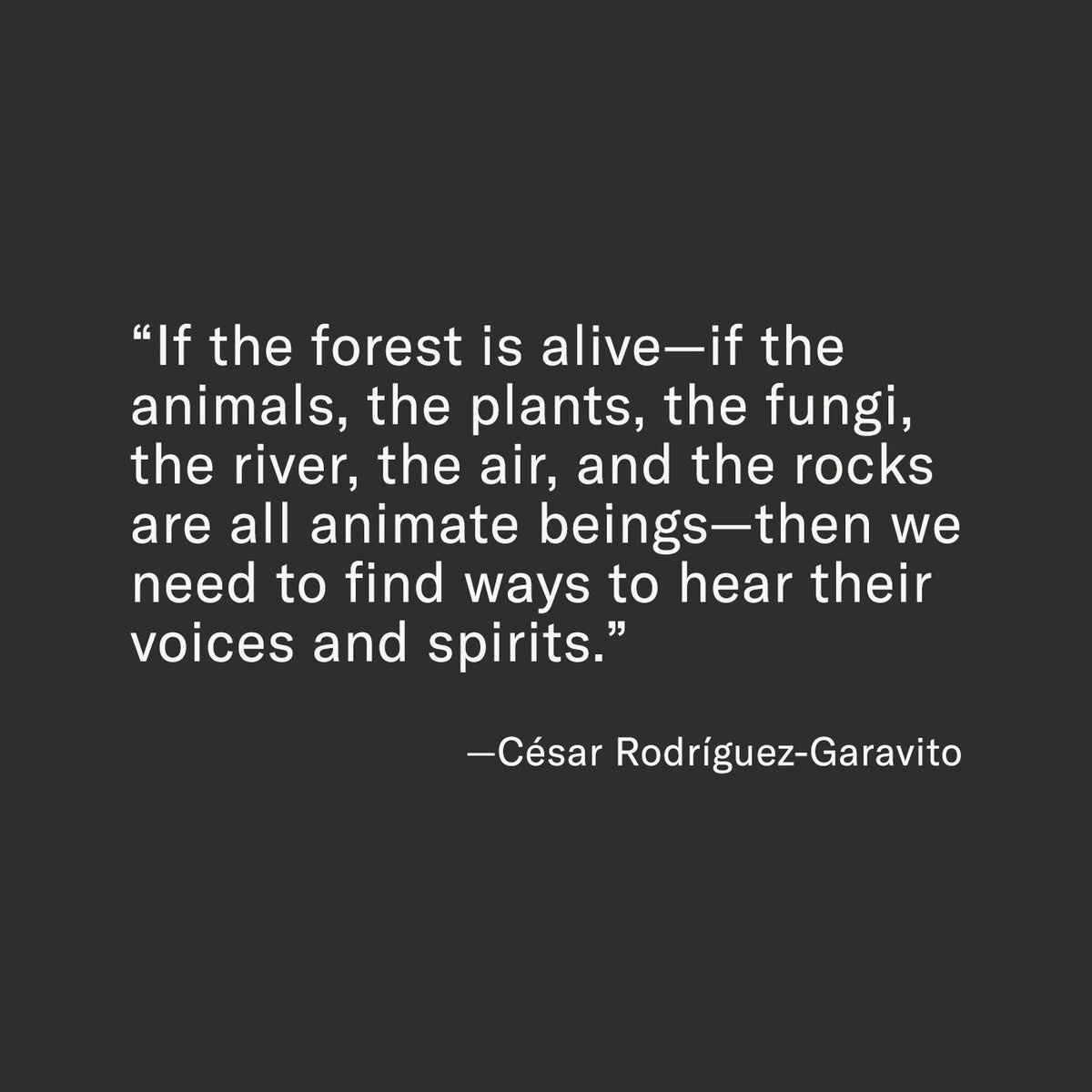 “If the forest is alive—if the animals, the plants, the fungi, the river, the air, and the rocks are all animate beings—then we need to find ways to hear their voices and spirits.” —César Rodríguez-Garavito. emergencemagazine.org/op_ed/more-tha…