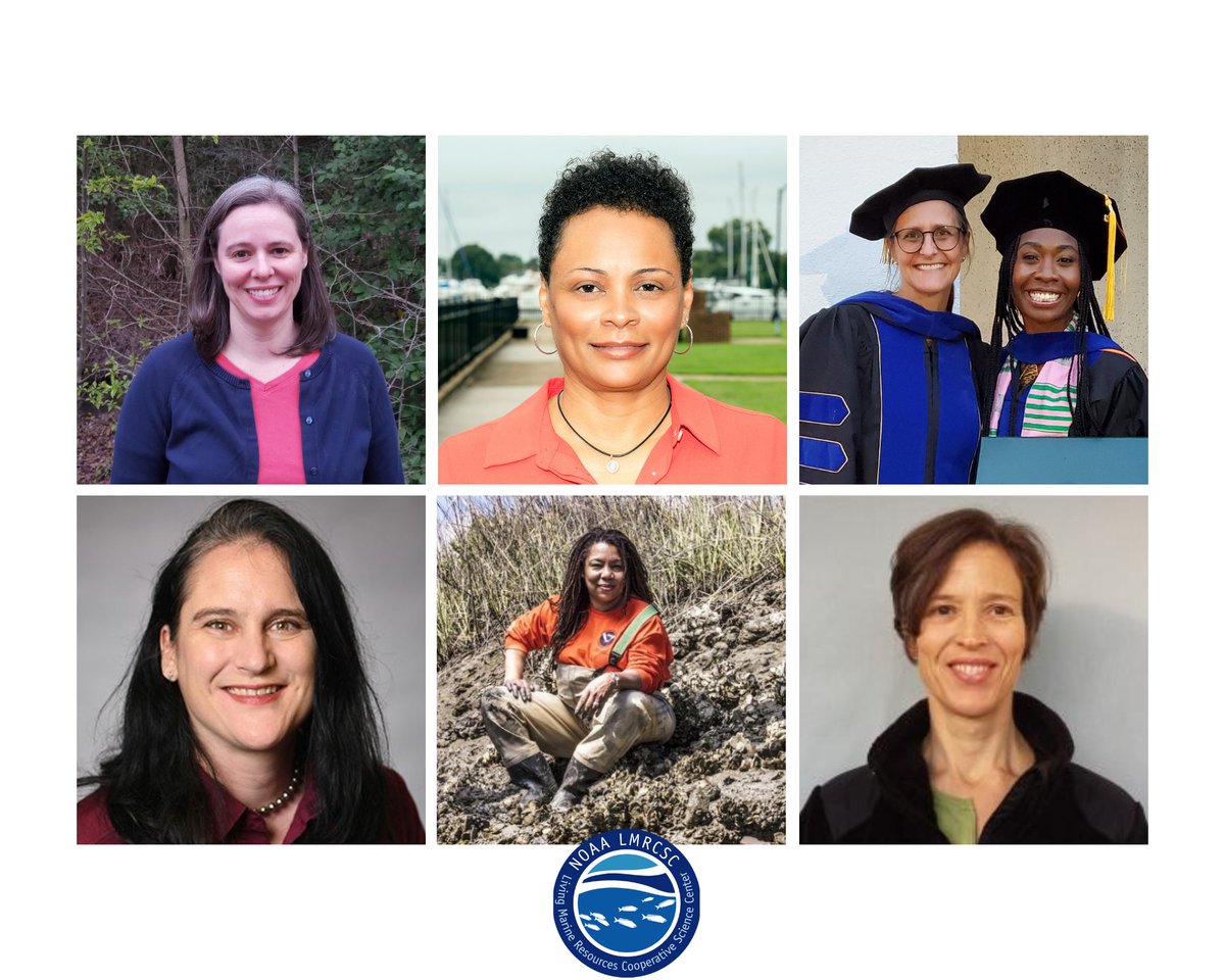 Happy #InternationalWomensDay to just a few of the renowned scientists and experts who use their knowledge to educate and mentor future marine scientists with the NOAA LMRCSC. 💙🌊