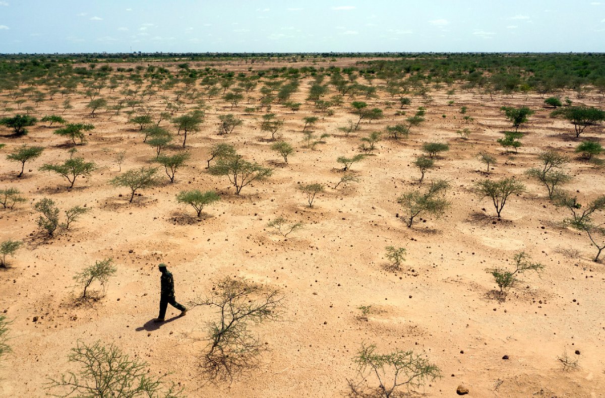 New in @ESAFrontiers: A review challenges the narrative of large-scale tree planting as a natural climate solution in global #rangelands doi.org/10.1002/fee.27… @IYRP2026