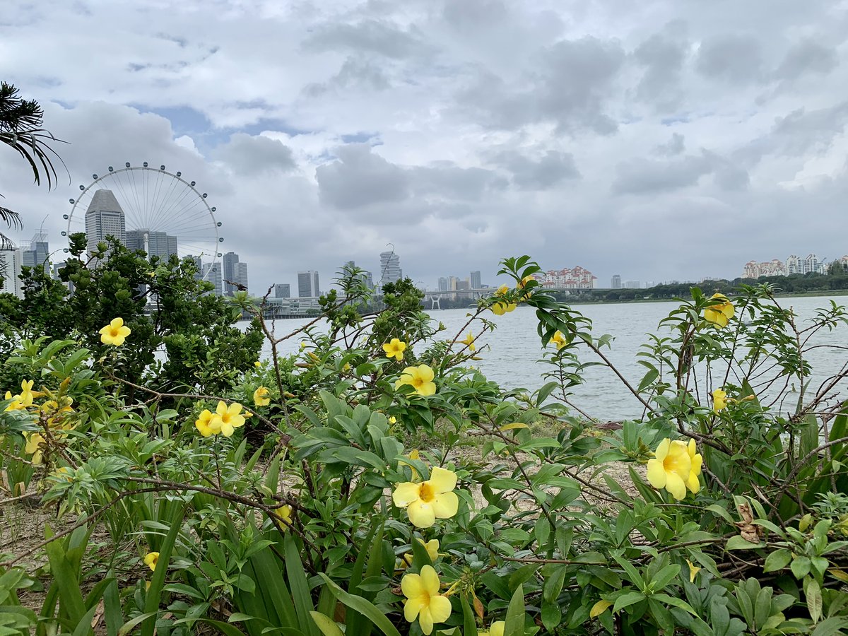ppimeetings's tweet photo. #FlashbackFriday - Here is a look back at where we were this week last year - Singapore! https://t.co/LPSZ7mokpG