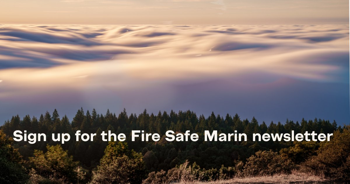 Don't miss our March newsletter coming out next week! The issue will include: ➡️ Fire history of Marin County ➡️ Information about home insurance ➡️ Fire smart tips for your yard Sign up now: firesafemarin.us8.list-manage.com/subscribe?u=bc…