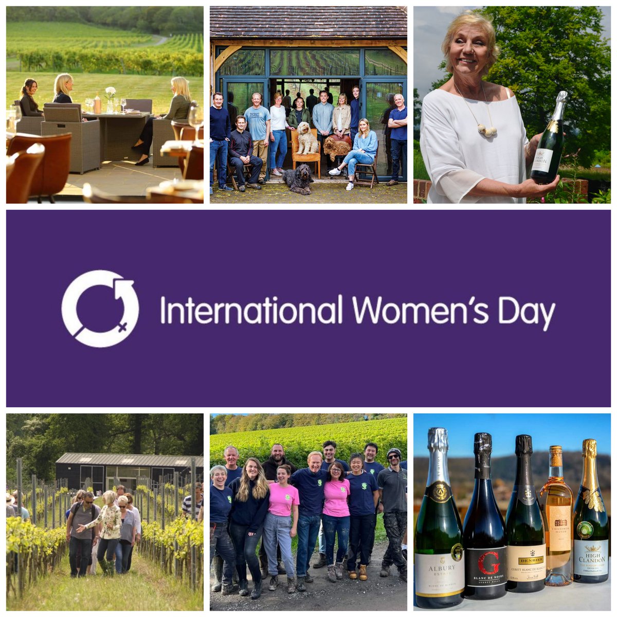 Please join us in raising a glass to celebrate International Women's Day this evening. 🥂 We're so fortunate to have many talented ladies in key roles across the Vineyards of the Surrey Hills group. 🍾✨️ #IWD2024 #internationalwomensday