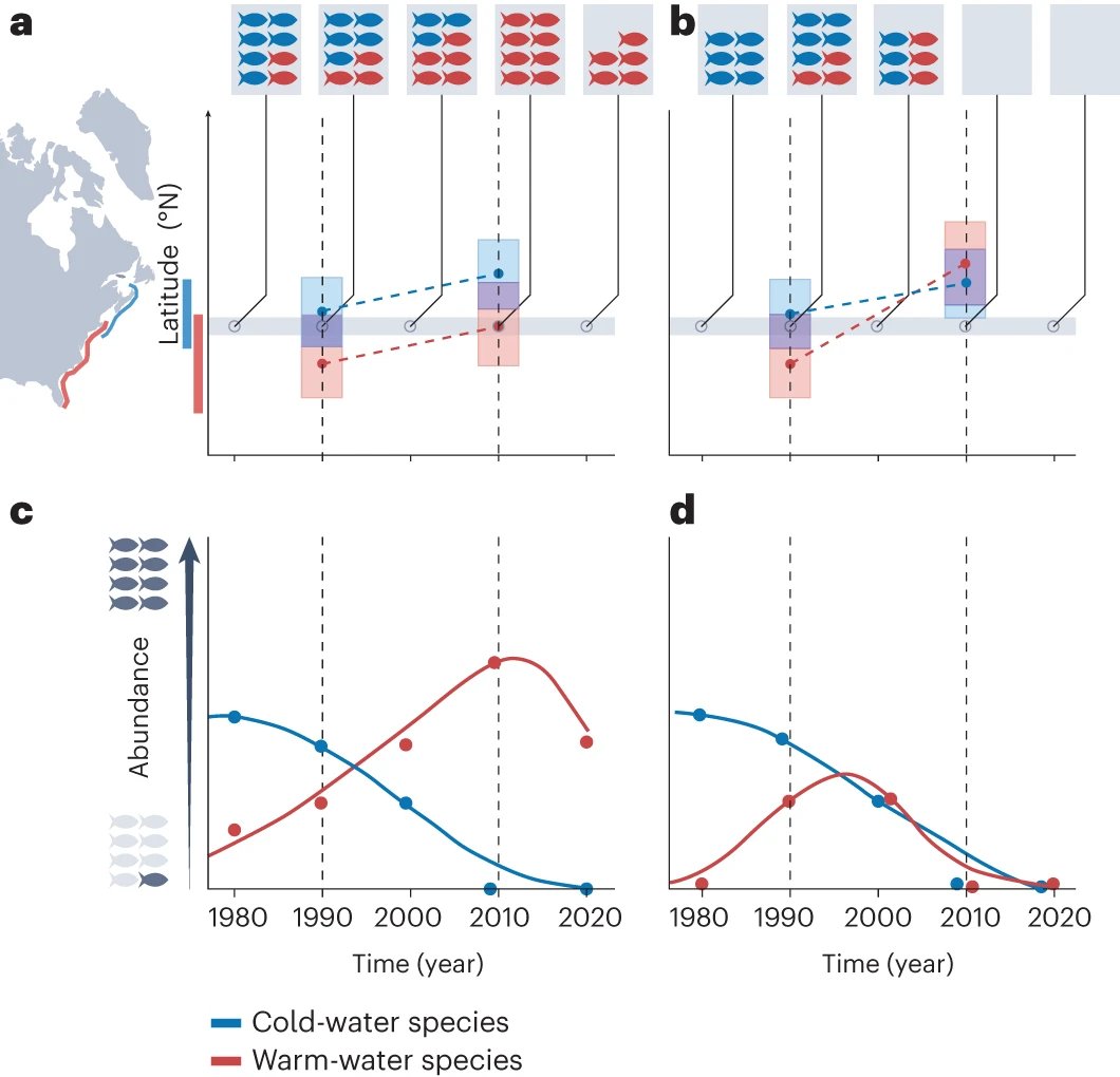 A study of 146 marine species shows that population abundance tends to decline as the velocity of poleward range shift increases, suggesting widespread transient population dynamics rather than a simple dichotomy between climate-change winners and losers: rdcu.be/dAEbC