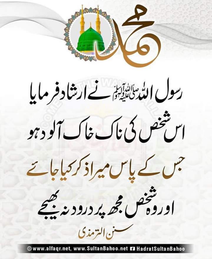 🌹 صلی اللّٰہ علیہ وآلہ وسلّم 🌹