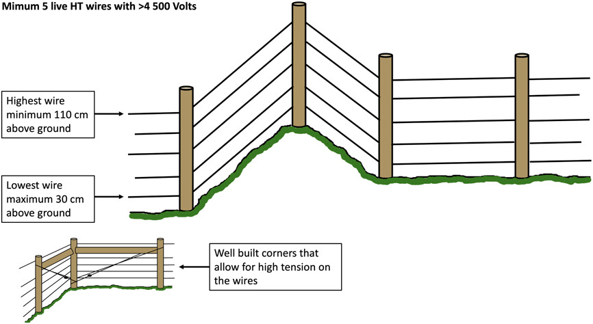 No benefit in using rubber-coated wire to counter loss of voltage due to tall grass in large carnivore deterring fences nsojournals.onlinelibrary.wiley.com/doi/10.1002/wl… #fence #wildlife #conflict #conservation #management @NordicOikos @WileyEcolEvol