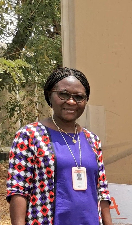 🌱 IITA Yams Abuja 🇳🇬 #IITA 's Beatrice Aighewi is conducting research thru the #PROSSIVA Project to optimize agronomy & production systems for #yam using leaf bud cuttings & minitubers. A key aim is delivering innovations to seed producers that improve seed system functioning