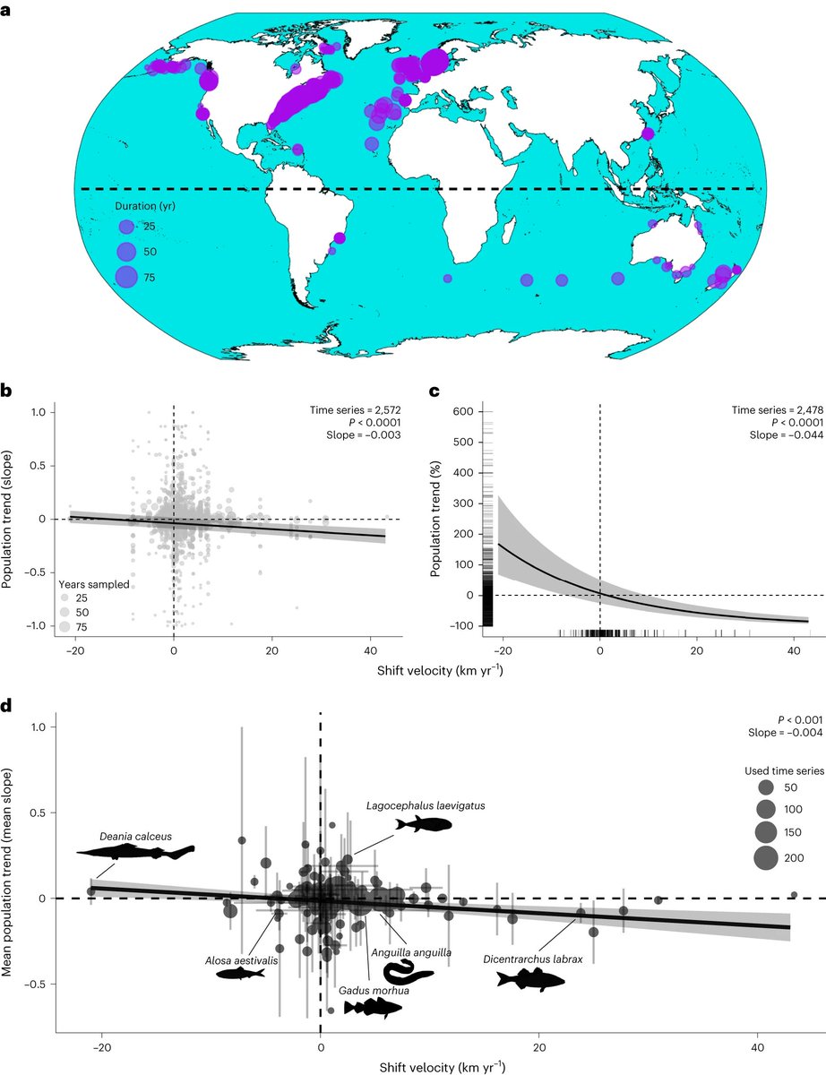 Marine fishes experiencing high-velocity range shifts may not be climate change winners rdcu.be/dAEbu
