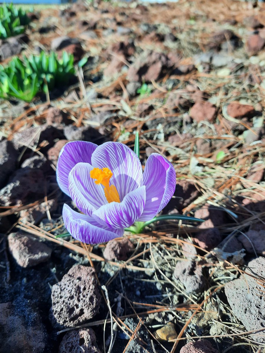 I am (@madeofpoems) on Twitter photo 