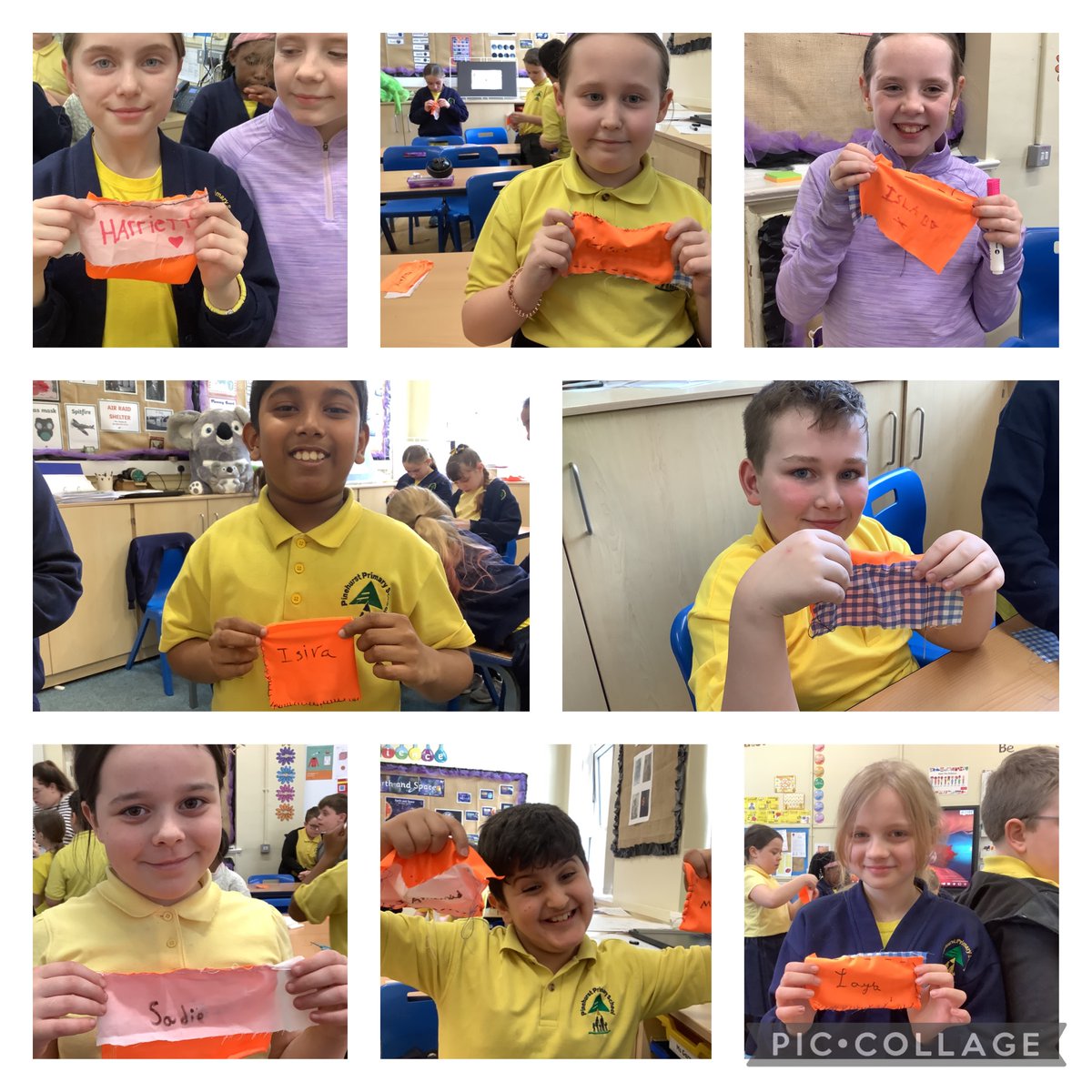 Maple Year 5 tweet media