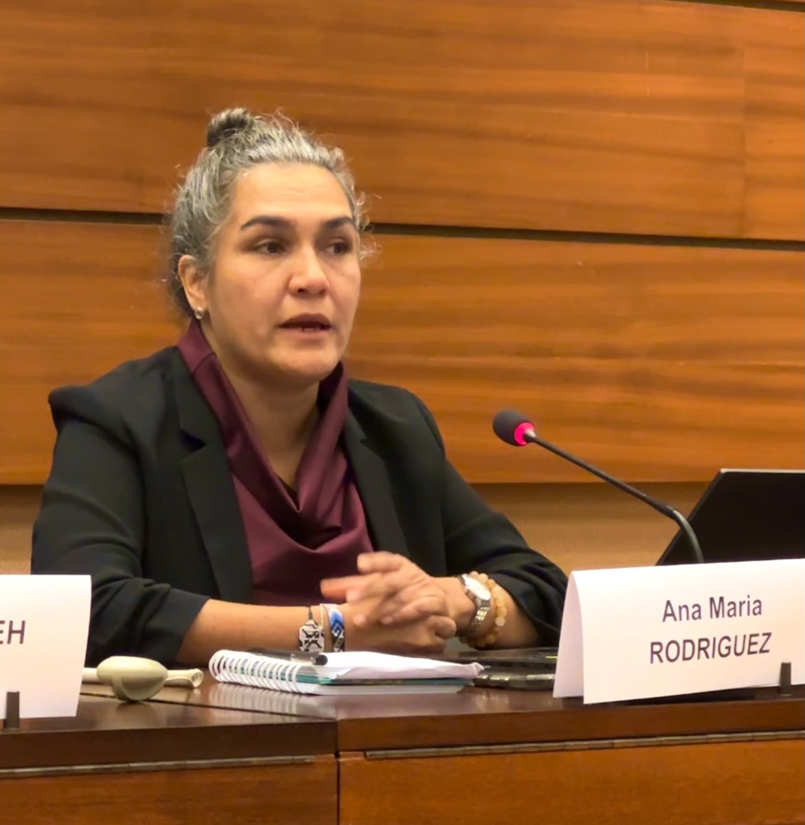 '100+ attacks against women & LGBTIQ+ protesters were recorded during the 2021 national strike in #Colombia. The new protocol contains crucial guidelines to prevent gender-based violence by law enforcement officers.' 🎙️Ana Maria Rodriguez @coljuristas #HRC55…