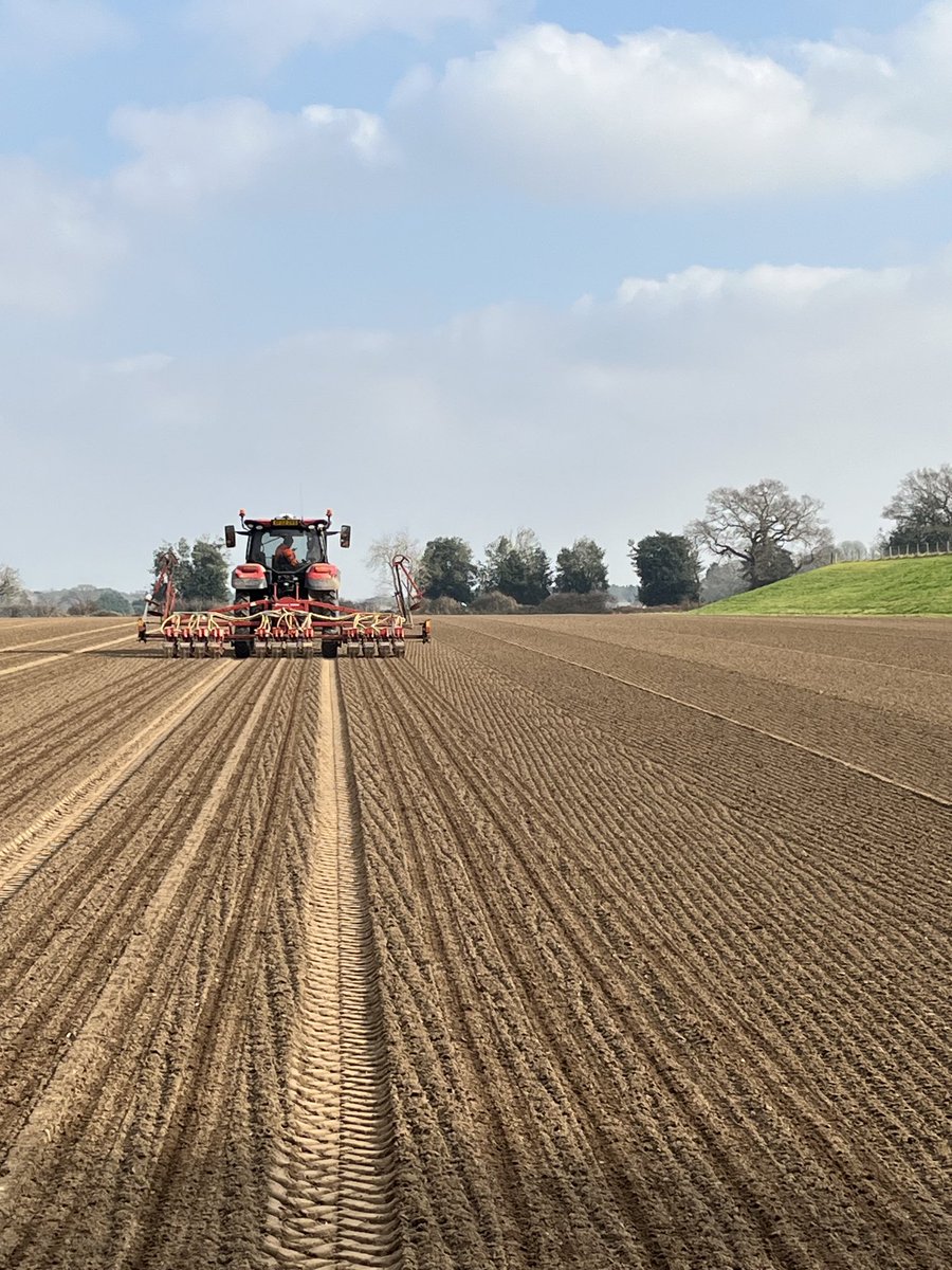 Andrew Francis (PFIAgrM. ARAgS) (@andrewf1882) on Twitter photo Springing into action <a href="/HomeFarmNacton/">Home Farm (Nacton)</a> <a href="/Eastsufprod/">East Suffolk Produce</a> lots to do catching up where we can. Springing into action <a href="/HomeFarmNacton/">Home Farm (Nacton)</a> <a href="/Eastsufprod/">East Suffolk Produce</a> lots to do catching up where we can.