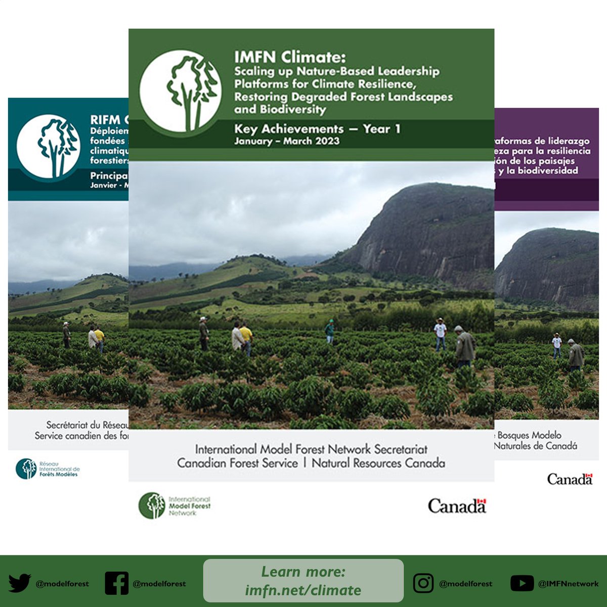 📰Now reading 📚 IMFN Climate Year 1: 2023 Achievement Report 🏆 bit.ly/3IjlDqI #IamModelForest #GenerationRestoration @FAOForestry @GPFLRtweets @CIFOR @CATIEOficial @NRCan @IUCN @IUCN_forests
