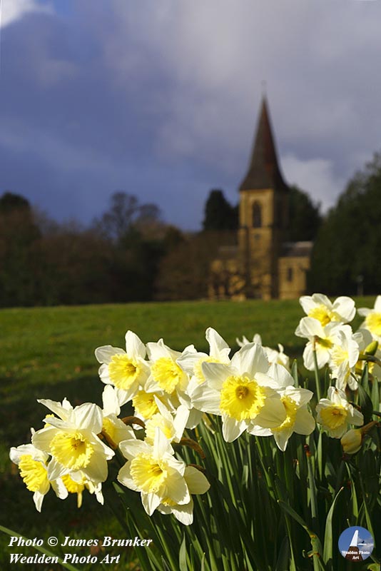 #Daffodils and St Peters church in #Southborough Common #Kent for #FlowersOnFriday, available as #prints here: james-brunker.pixels.com/featured/daffo…
With FREE SHIPPING in the UK: lens2print.co.uk/imageview.asp?… 
#AYearForArt #BuyIntoArt #FlowerFriday #yellow #spring #flowers #floral #TunbridgeWells
