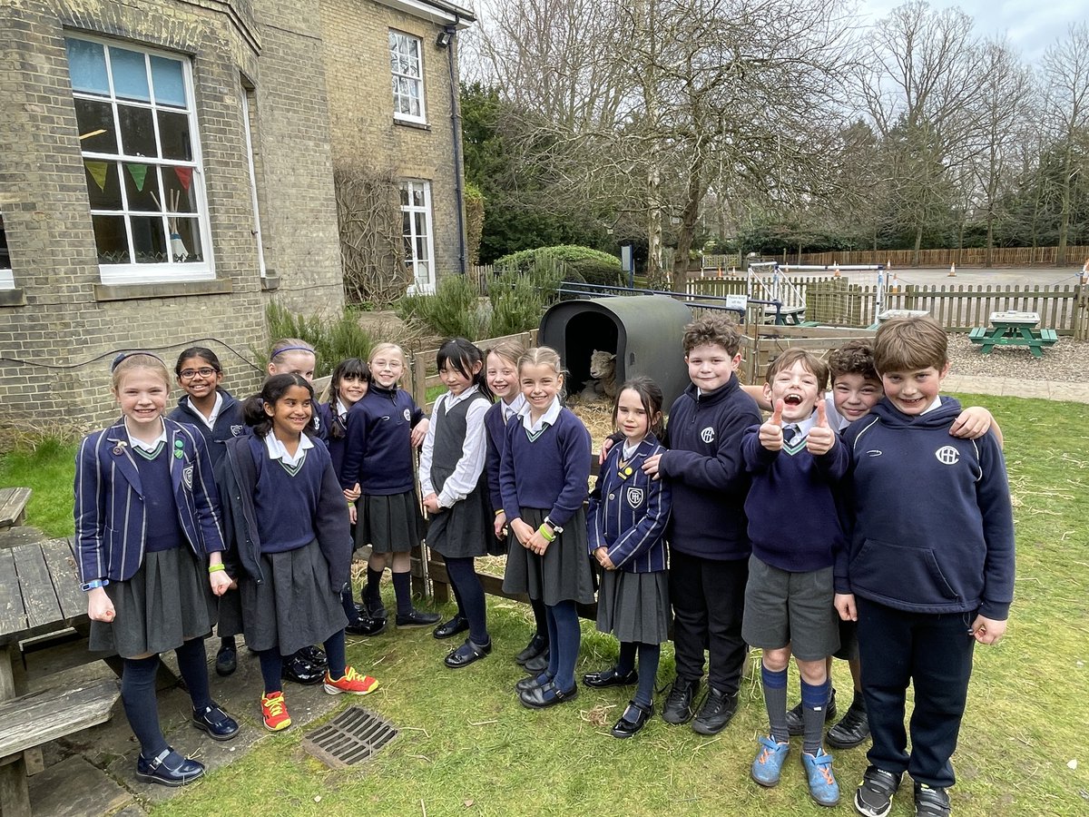 TownCloseSchool's tweet photo. Baa bye sheep! 
What a week it has been! We have loved every second of welcoming Ursula, Xantha &amp; Zelda into the Town Close flock. We hope to catch up with them again at the @norfolkshow 

@ffdt_UK @ClanTrust_ @RBSTrarebreeds

#LearningAboutLivestock #TownCloseVisitors https://t.co/q1h5rt74Tr