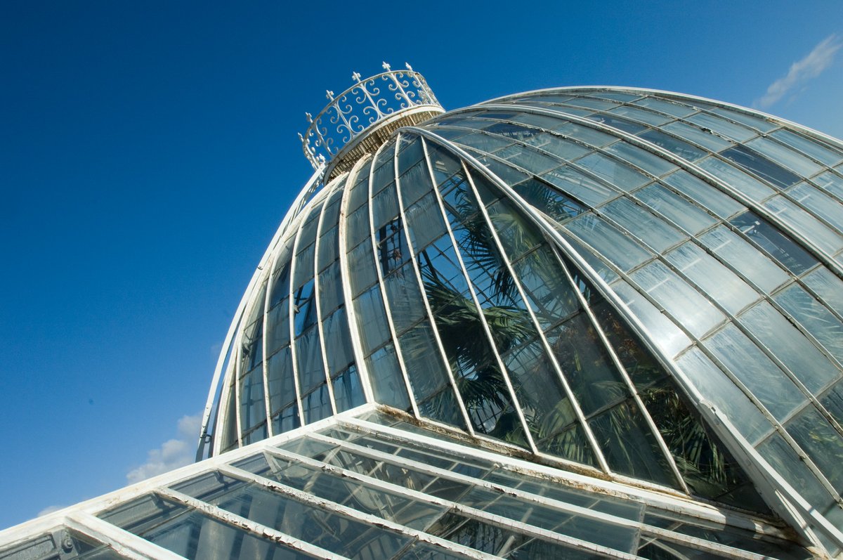 🏗 🌴 We're hiring a Project Manager on the landmark Edinburgh Biomes project, protecting global plant science and conservation through the restoration of the historic Palm Houses, modernist Front Range and research houses. Apply by midday on Mon 11 Mar 👉rbge.cc/Jobs