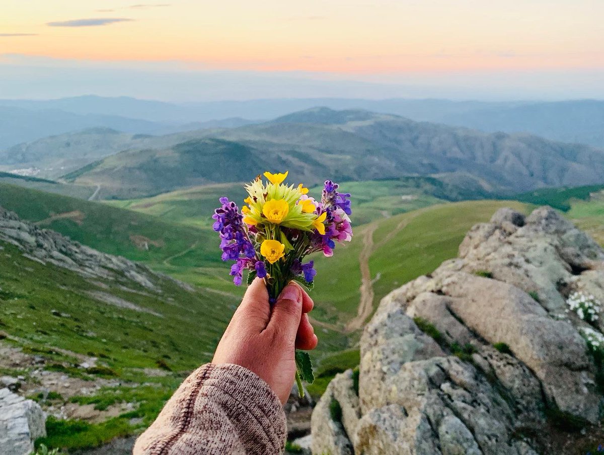 To all happy and sad women To those who are free and those who aren’t To those with a bikini and with a hijab With children or with a career Those who are trying to change, fight, improve,survive, trust again, love: may 8.March be everyday for you 🌸 #freedom #love #womensday