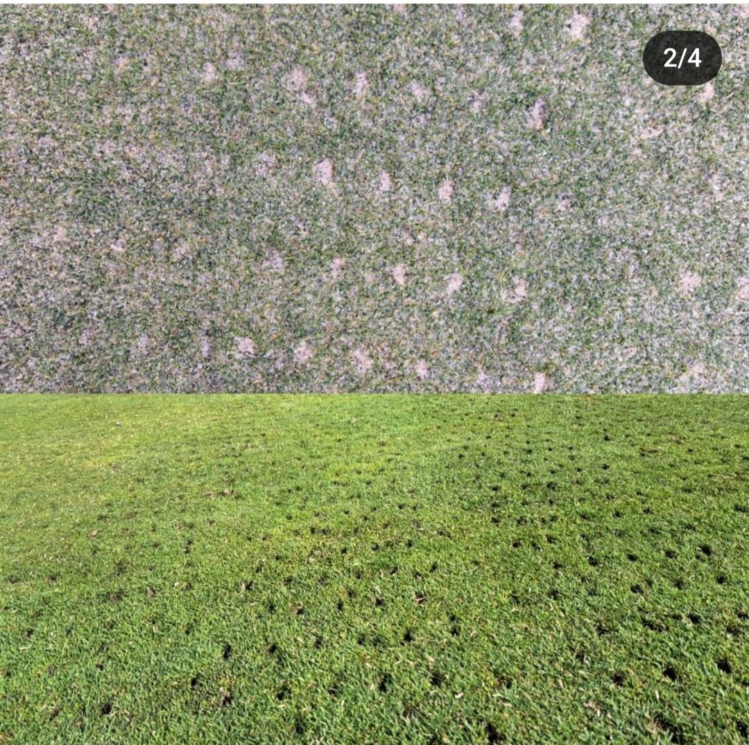 Michael Sparke tweet media