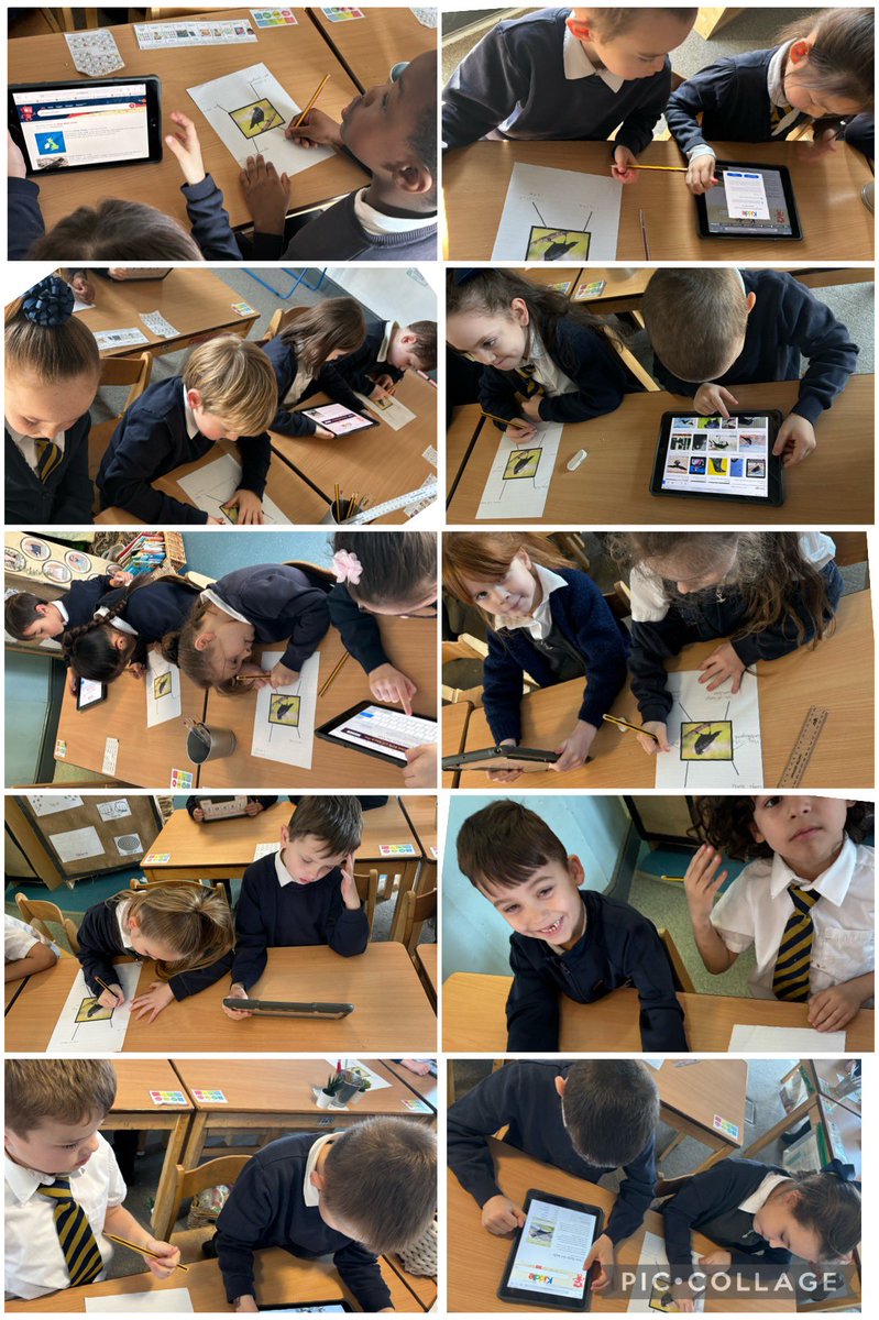 Year 2C St Silas tweet media