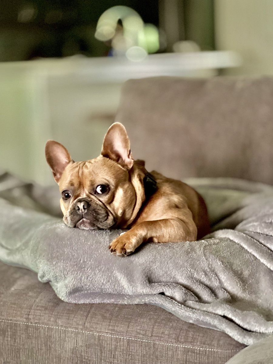 Kevin O’Brien tweet media