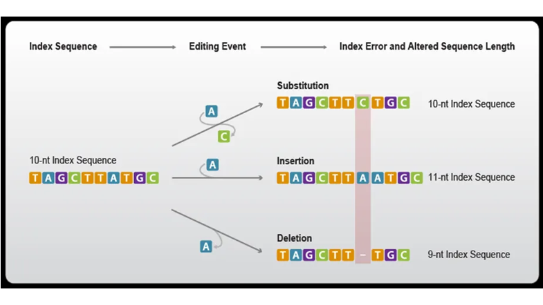 GSI Technology (@gsitechnology) on Twitter photo <a href="/gsitechnology/">GSI Technology</a> is optimizing genomics research. DNA sequence alignment is computationally expensive, but <a href="/gsitechnology/">GSI Technology</a>'s Gemini-I APU, a compute-in-memory chip, accelerates the process. #genomics #accelerate #gemini
bit.ly/3IrDOdE <a href="/gsitechnology/">GSI Technology</a> is optimizing genomics research. DNA sequence alignment is computationally expensive, but <a href="/gsitechnology/">GSI Technology</a>'s Gemini-I APU, a compute-in-memory chip, accelerates the process. #genomics #accelerate #gemini
bit.ly/3IrDOdE