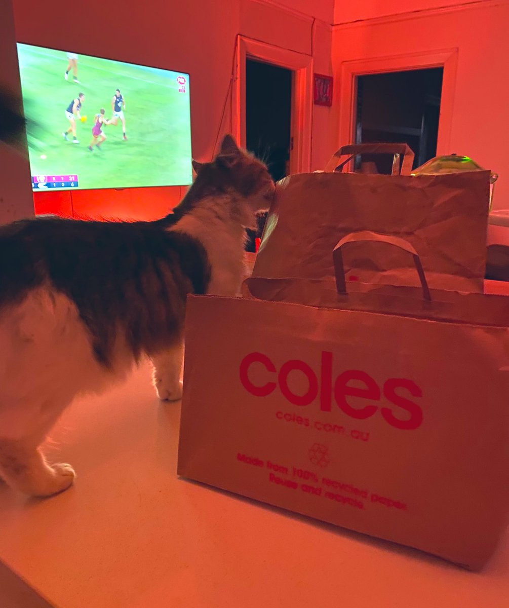 MeganSuspended's tweet image. Is there a bigger scam than supermarket bags. 

First they were plastic and they were free 
Then they were plastic but they cost us 15c
Then they were paper and cost us 15c 
Now they’ve halved the size of the paper bags but still charge us the same. 

And none of those changes…