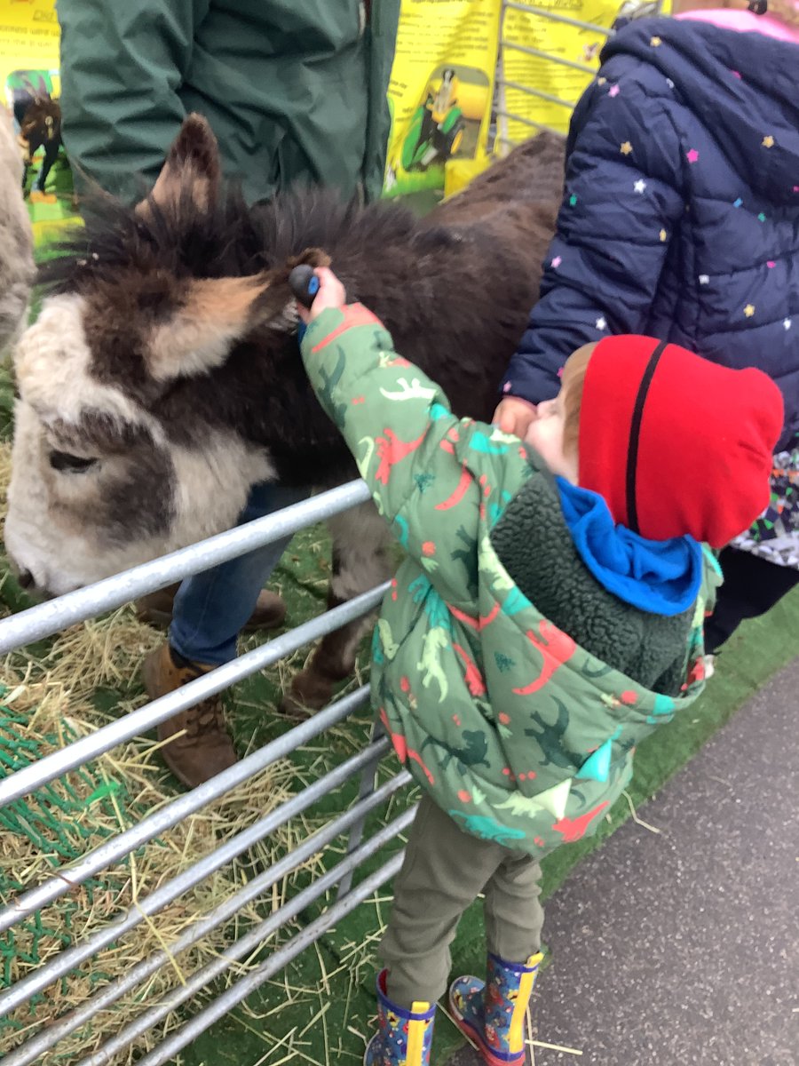 Allerton CE Primary tweet media