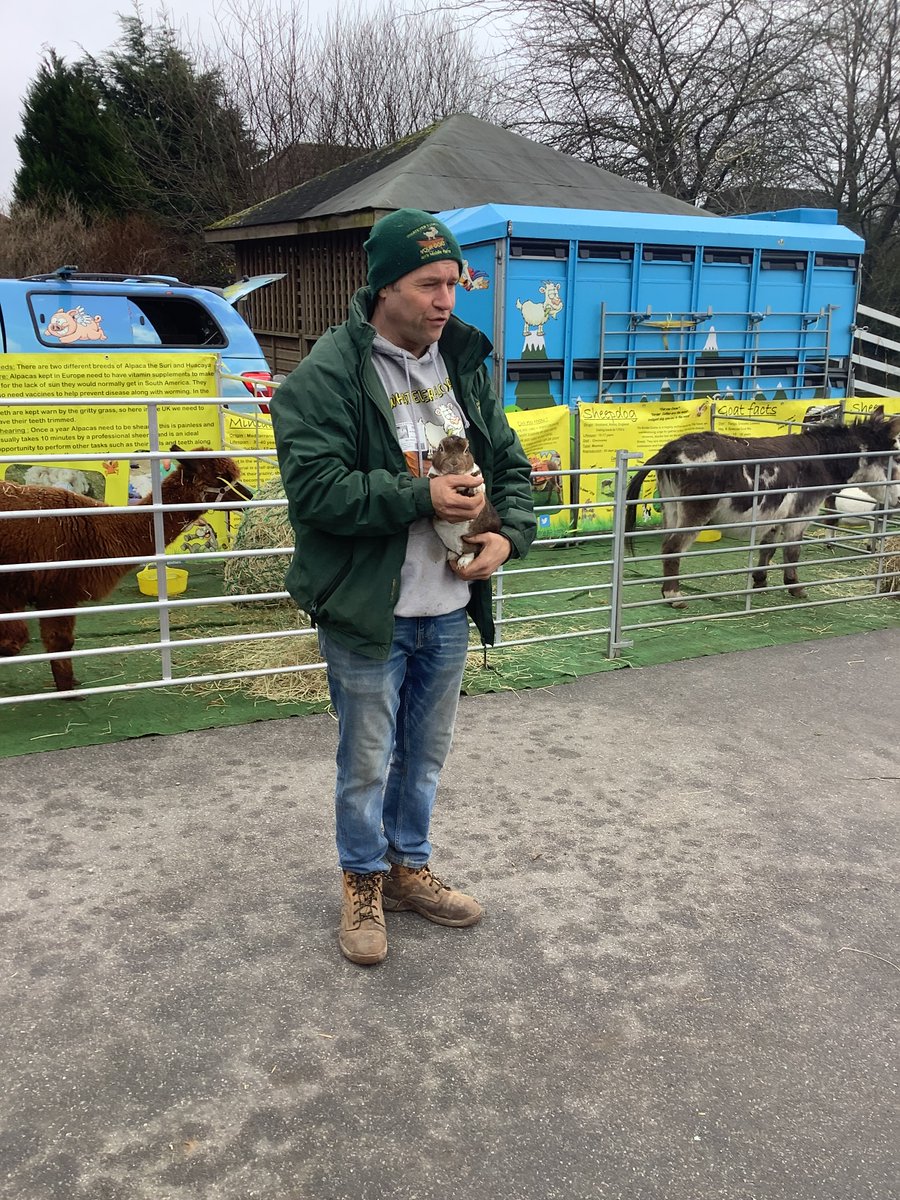 Allerton CE Primary tweet media