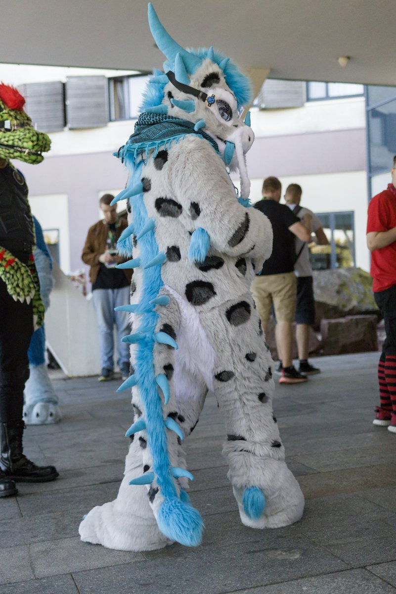 A beautiful spiked fur back can also be delightful :P
Form <a href="/That_Fox_Nicky/">That Fox Nicky</a> Thank you :)
#dragon #fursuit #furries #furrycommunity #fursuiter #FursuitFriday