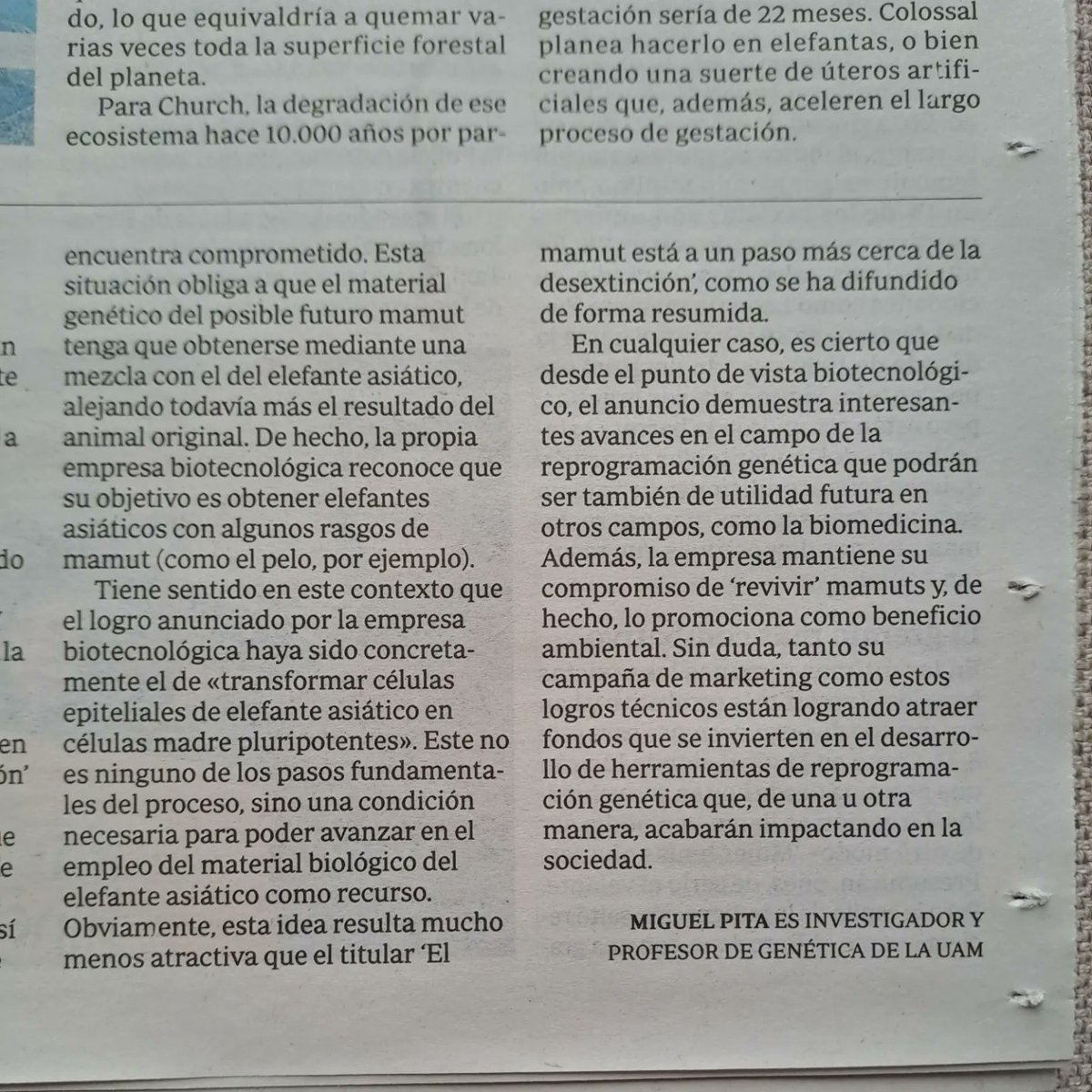 Ayer a estás horas me pidió <a href="/abc_es/">ABC.es</a> este artículo (sobre la des-extinción del mamut) contrarreloj, como en las pelis de periodistas 😏