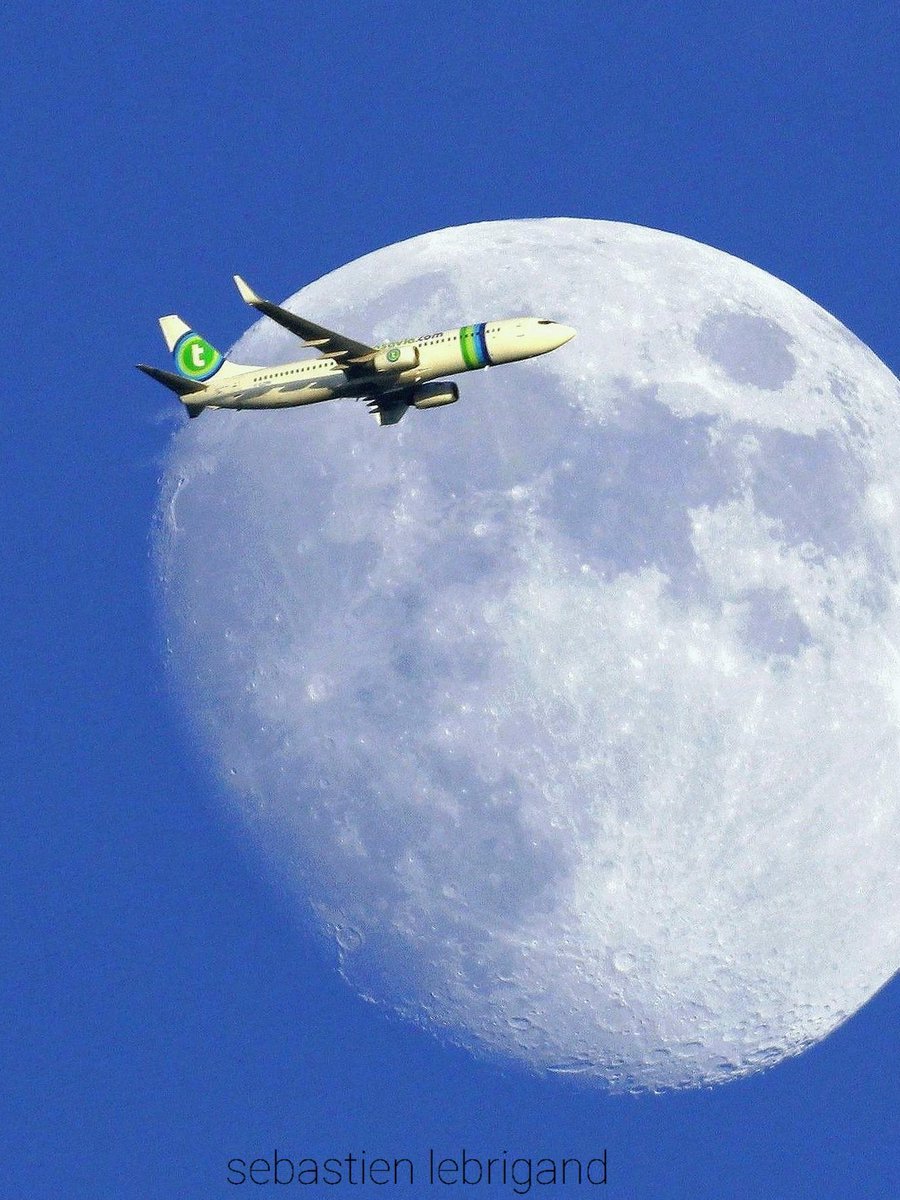 Airplane Boeing 737 Transavia. Crosses the moon 🌓 Photo: @lebribri (France)