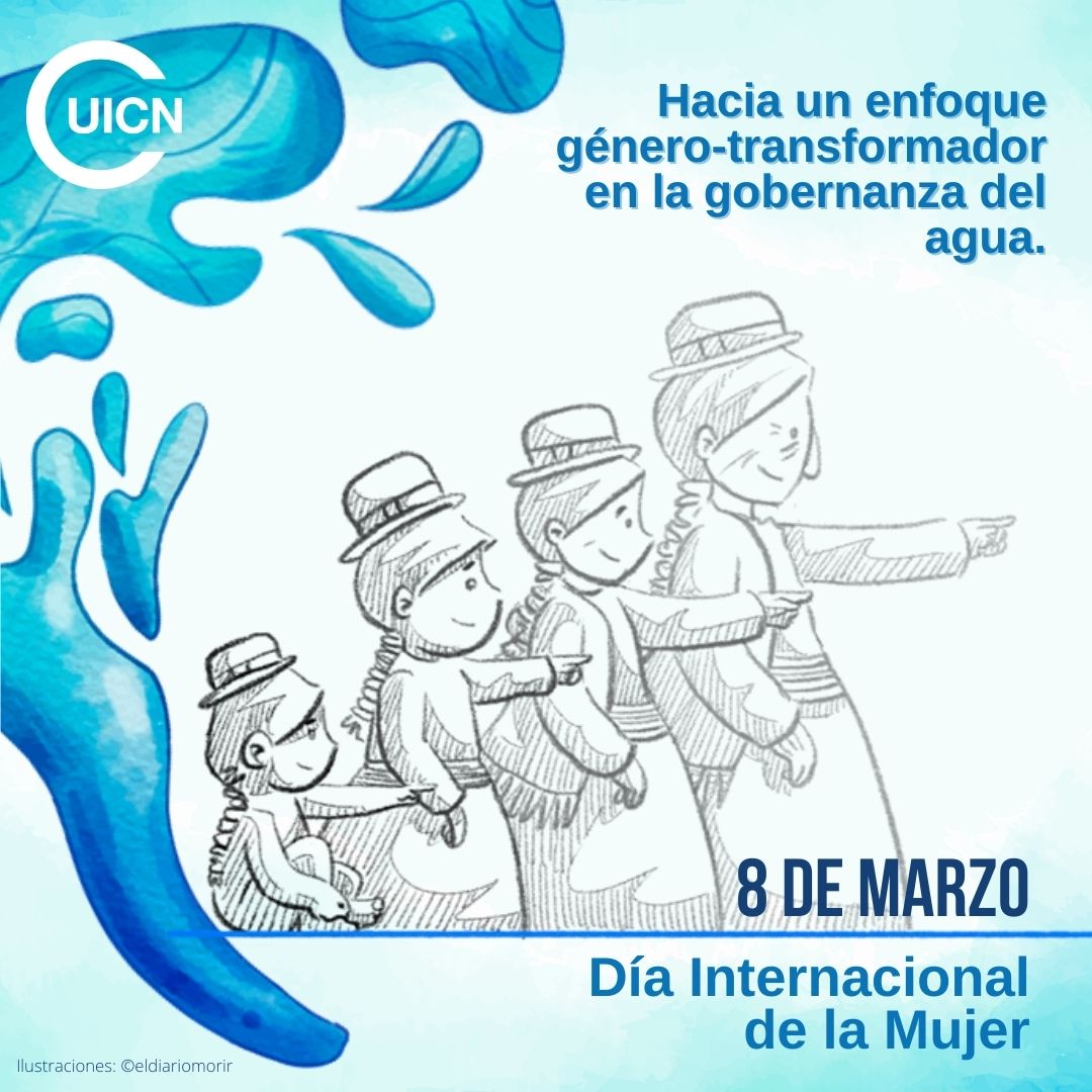 🙌🏽Honramos el papel vital de las mujeres en la protección y conservación de los territorios y gestión efectiva de los recursos naturales. 

Conoce esta interesante historia➡️ lnkd.in/e5X2cj96 #FinanciemosLaIgualdad #8M #DíaInternacionaldelaMujer