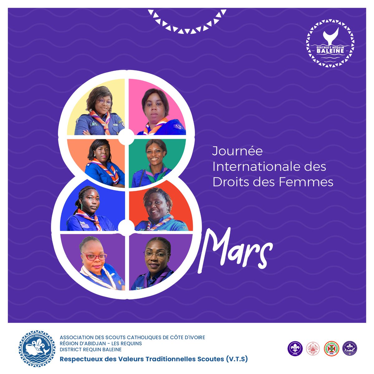 Scouts District Requin Baleine (@requin_baleine) on Twitter photo 