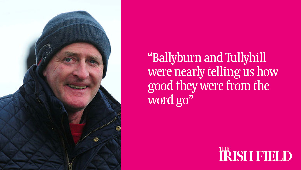 There's a FREE 32-page Cheltenham supplement included in this week's Irish Field, where <a href="/Mark_Boylan1/">Mark Boylan</a> speaks to Colin McKeever, who trained Ballyburn, Tullyhill and Jeriko Du Reponet to win point-to-points on debut