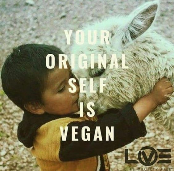 #veganrecipes #veganCommunity #veganfitness #veganeats #baby #veganlove #ecofriendly #veganpower #veganaf #bestbrands #veganforlife #veganbeauty #veganathlete #veganshare #vegandinner #veganfriendly