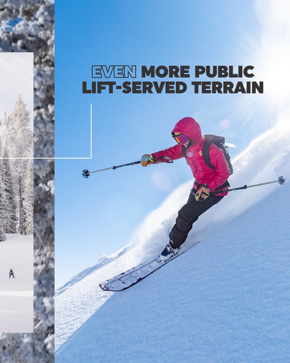 Powder Mountain tweet media