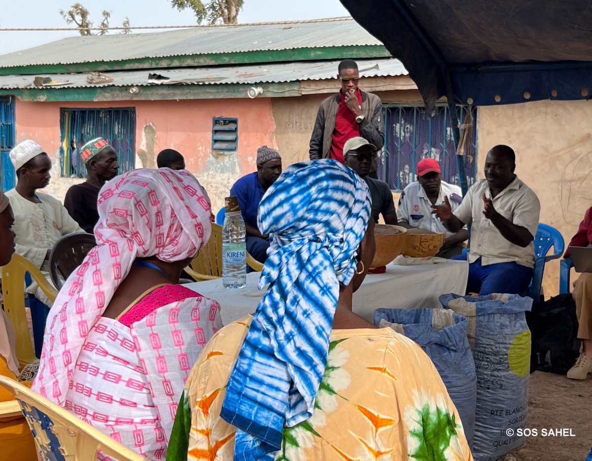 #IWD2024 Grâce à nos équipes d’experts et en collaboration avec les organisations de producteurs et associations locales, les femmes sont les 1ères actrices de la modernisation du traitement du fonio. Retrouvez ces gardiennes des savoirs ! ➡️sossahel.org/lumiere-sur-le…