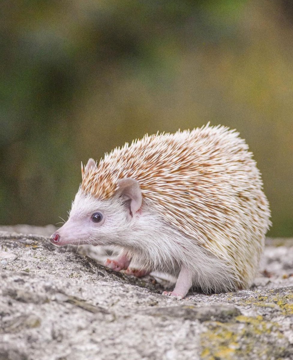 Friday 8th March, 2024