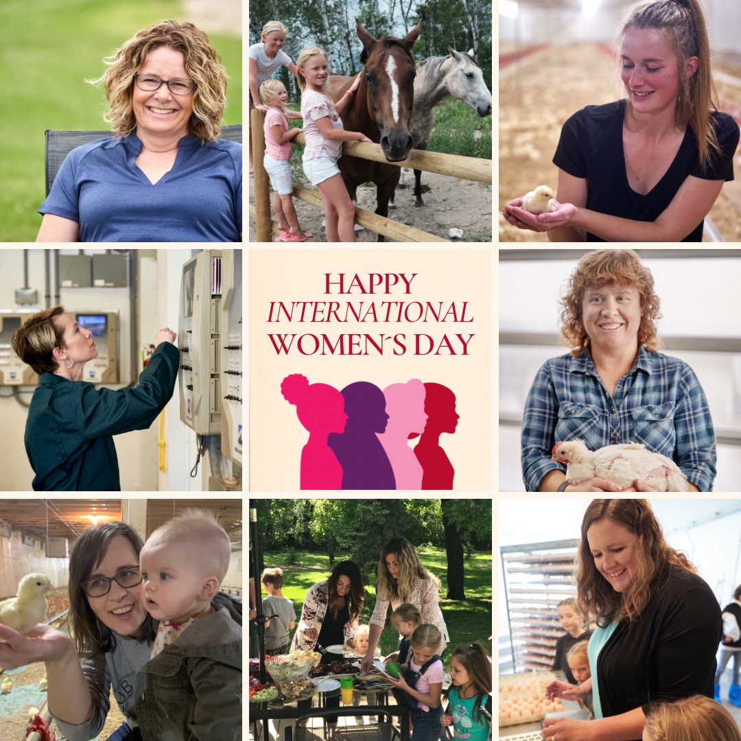 manitobachicken's tweet image. Today, on International Women's Day, we're shining a spotlight on the remarkable Manitoba Chicken Producers women farmers. Here’s to their dedication, resilience, and unwavering passion for what they do. Together, we celebrate their achievements. 🌾🐔 #WomenInAg #IWD2024