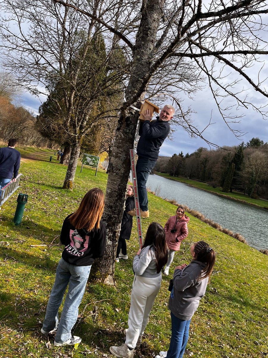 Laurent Schembri tweet media