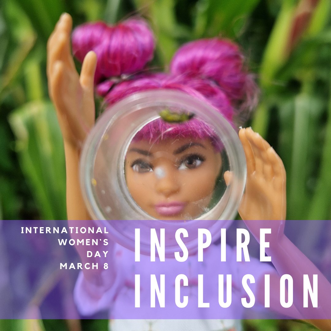 @entobarbie tweet media