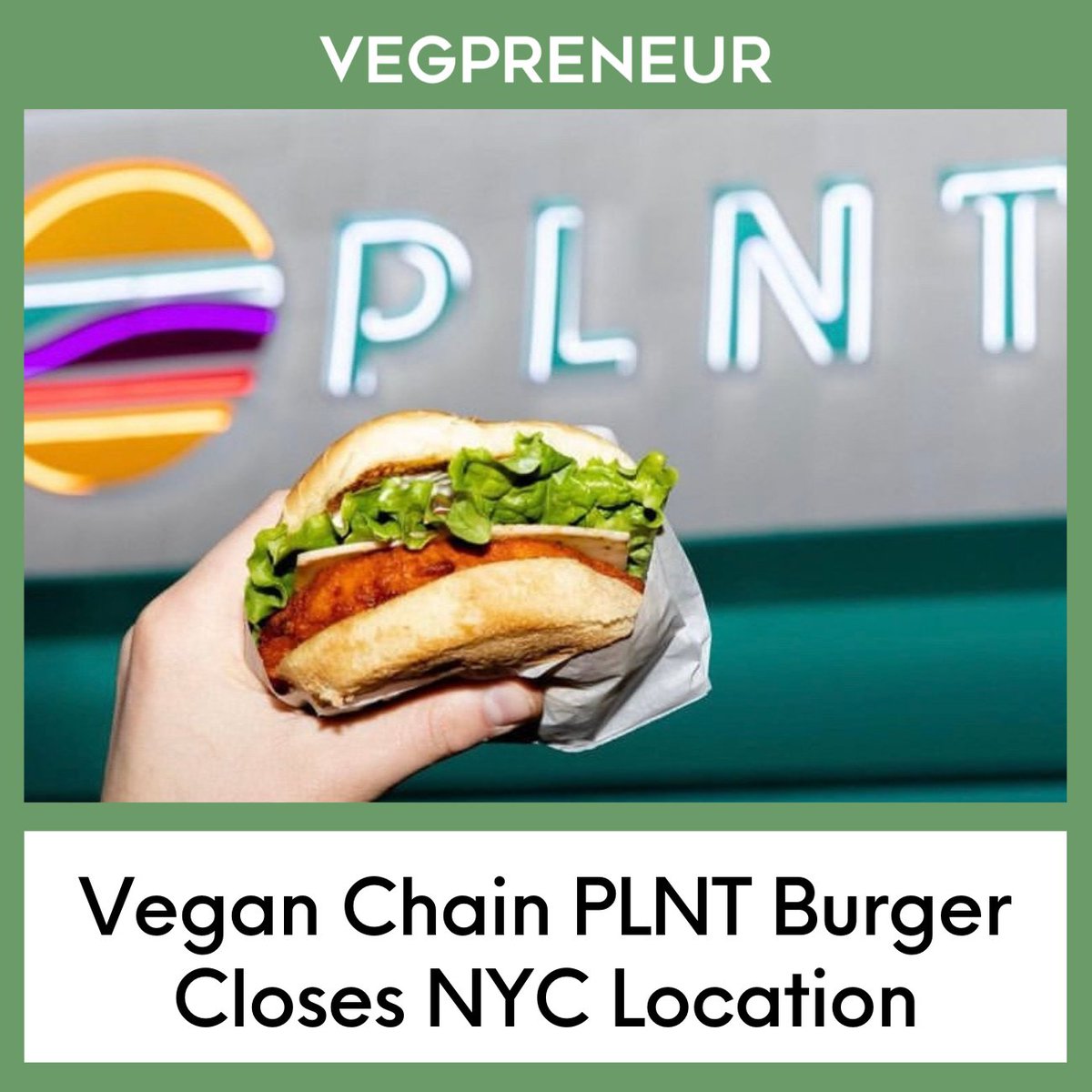 VEGPRENEUR tweet media