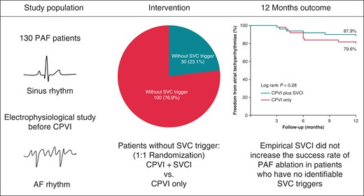 Europace Editor-in-Chief (@europaceeic) on Twitter photo 📢#Europace #Cardiotwitter #EPeeps
🤔What is the role of superior vena cava isolation in paroxysmal AF ablation❓ a 🇨🇳randomized study❗️
📚🆓👉doi.org/10.1093/europa…
<a href="/GiulioConte9/">Giulio Conte</a> <a href="/Dominik_Linz/">Dominik Linz</a> <a href="/AndyZhangMD/">Xiaodong Zhang (Andy), MD, PhD, FHRS, FACC</a> <a href="/MBergonti/">Marco Bergonti</a> <a href="/marcovitoloMD/">Marco Vitolo Ⓜ️</a> <a href="/FraSantoroMD/">Francesco Santoro, MD, PhD</a> <a href="/LuigiDiBiaseMD/">Luigi Di Biase</a> 📢#Europace #Cardiotwitter #EPeeps
🤔What is the role of superior vena cava isolation in paroxysmal AF ablation❓ a 🇨🇳randomized study❗️
📚🆓👉doi.org/10.1093/europa…
<a href="/GiulioConte9/">Giulio Conte</a> <a href="/Dominik_Linz/">Dominik Linz</a> <a href="/AndyZhangMD/">Xiaodong Zhang (Andy), MD, PhD, FHRS, FACC</a> <a href="/MBergonti/">Marco Bergonti</a> <a href="/marcovitoloMD/">Marco Vitolo Ⓜ️</a> <a href="/FraSantoroMD/">Francesco Santoro, MD, PhD</a> <a href="/LuigiDiBiaseMD/">Luigi Di Biase</a>