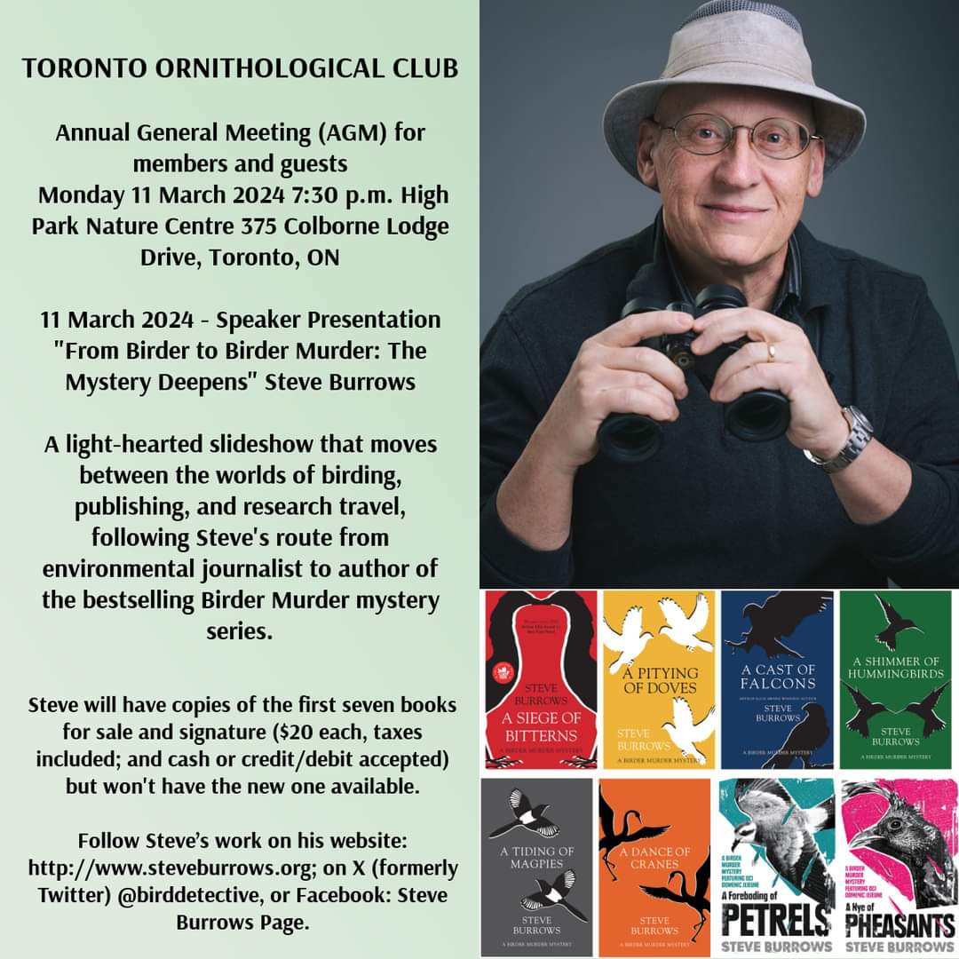 Toronto Ornithological Club tweet media