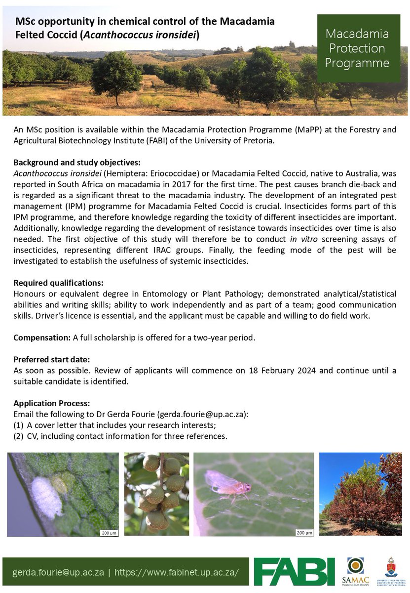Fabiteam1's tweet image. Interested in joining FABI as an MSc student ? Apply for this masters project with the Macadamia Protection Programme to work on Macadamia Felted Coccid.