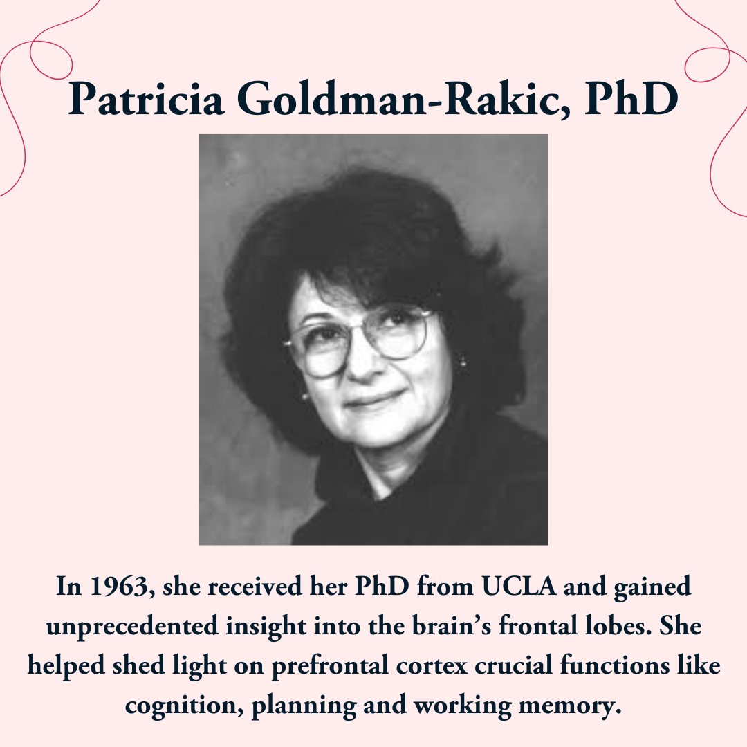 Trilogy Connect tweet media