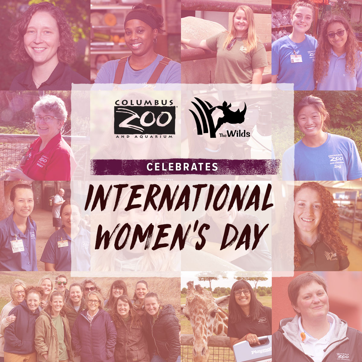 Today is International Women's Day! At the heart of the Zoo and The Wilds, we are proud to have incredible women leading the charge in conservation, animal care, education, and more. Let’s celebrate the achievements of women around the world and empower future generations.