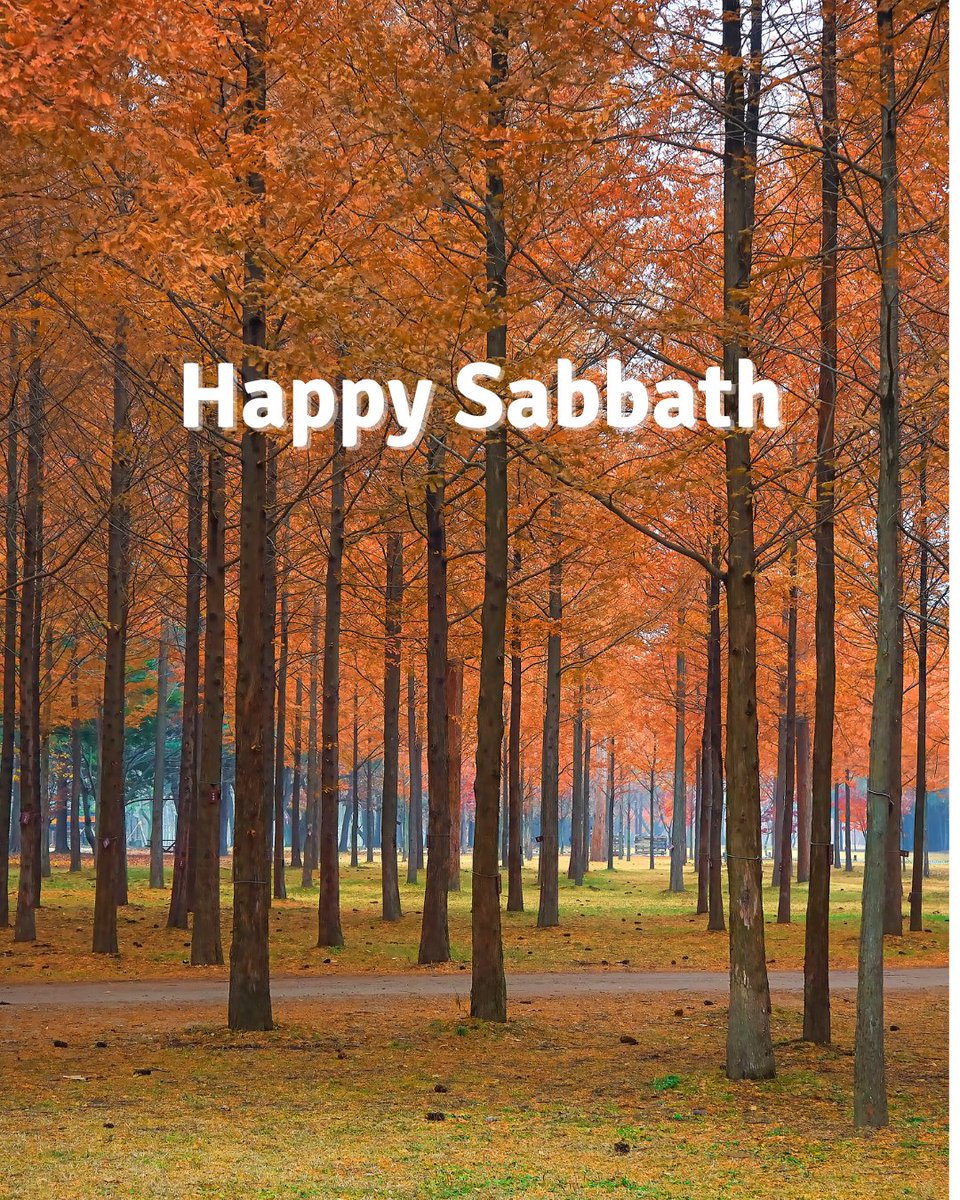 Happy Sabbath! 'May the God of hope fill you with all joy and peace in believing, so that by the power of the Holy Spirit you may abound in hope.' (Romans 15:13)

#AdventistMission #HappySabbath
