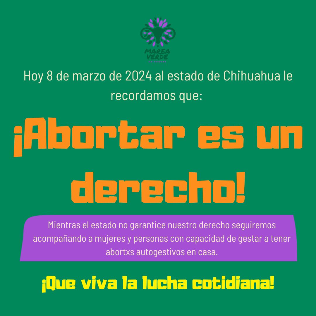 Hoy 8 de marzo de 2024 al estado de Chihuahua le recordamos que:

¡Abortxr es un derecho!

Mientras el estado no garantice nuestro derecho seguiremos acompañando a mujeres y personas gestantes.

¡Que viva la lucha cotidiana!

#8M #8m2024 #DiaInternacionalDeLaMujer